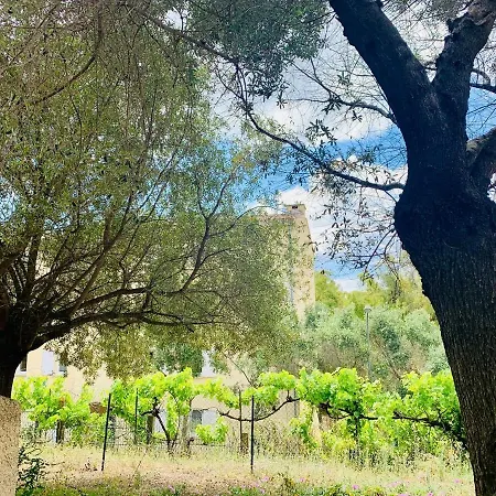 2 2 Salles De Bains Haute Lägenhet Porto-Vecchio (Corsica)