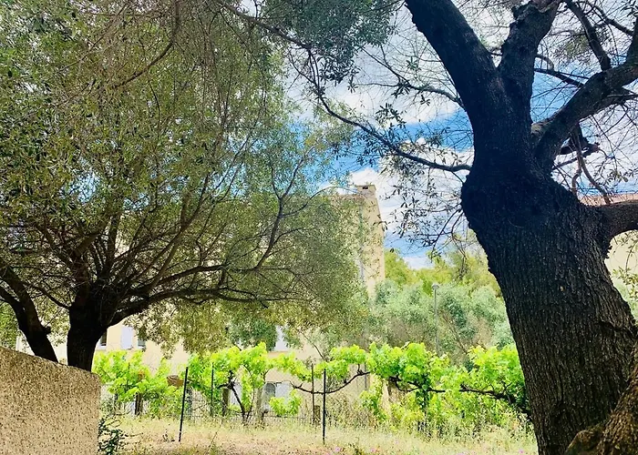 2 2 Salles De Bains Haute Appartement Porto-Vecchio (Corsica)